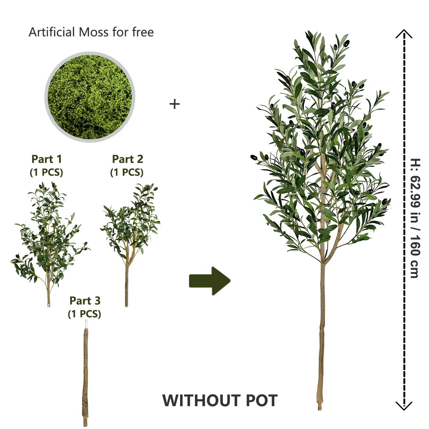 The Effortless Olive Tree