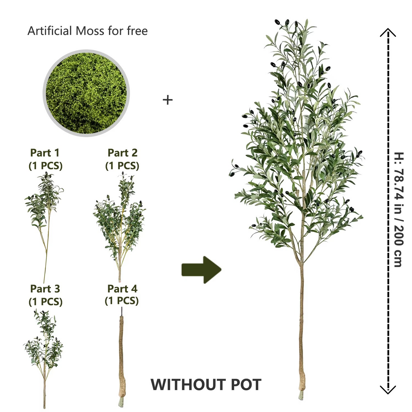The Effortless Olive Tree