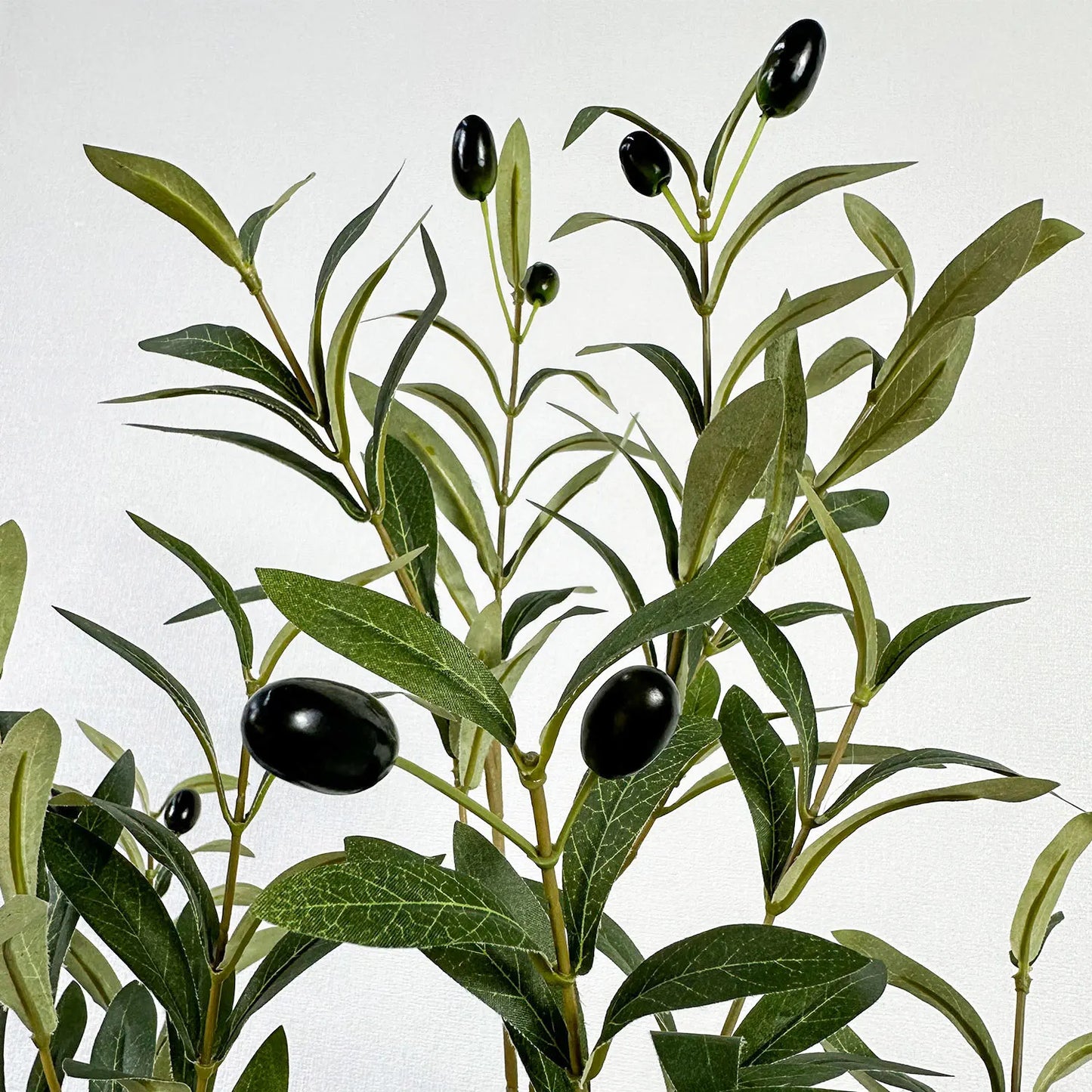 The Effortless Olive Tree