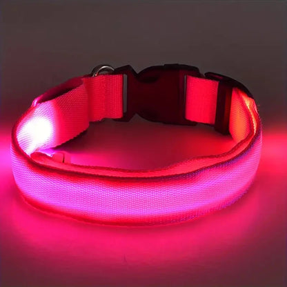 LED Safety Dog Collar with Glowing Light for Night Walks
