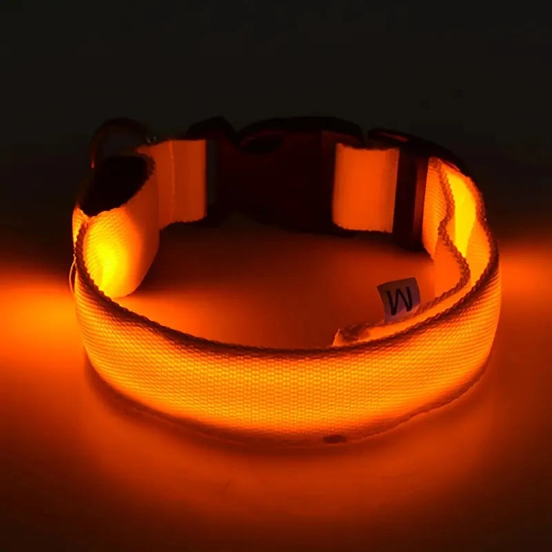 LED Safety Dog Collar with Glowing Light for Night Walks