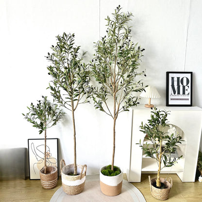 The Effortless Olive Tree