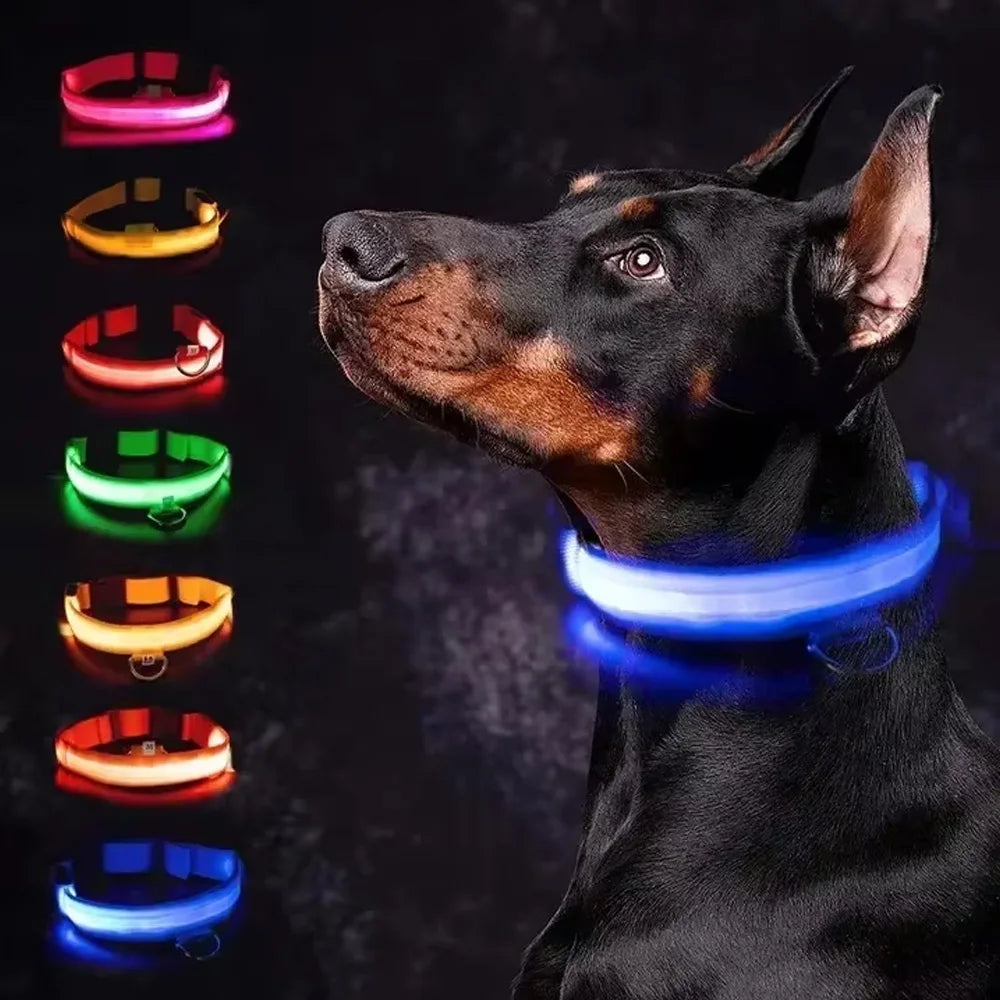 LED Safety Dog Collar with Glowing Light for Night Walks