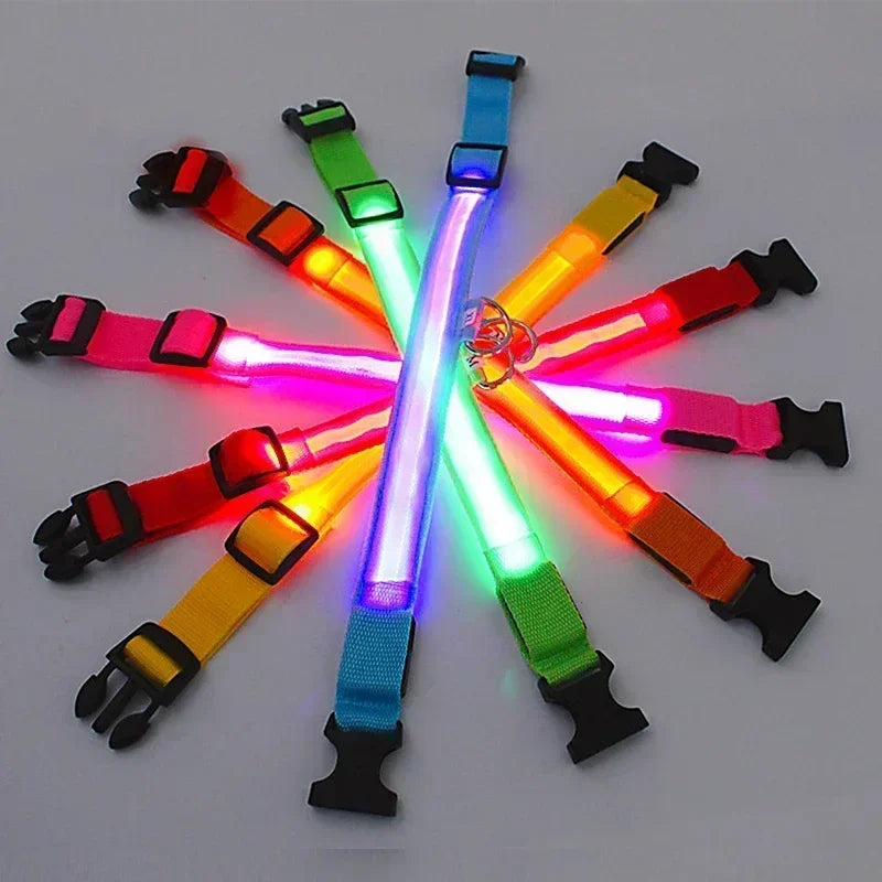 LED Safety Dog Collar with Glowing Light for Night Walks