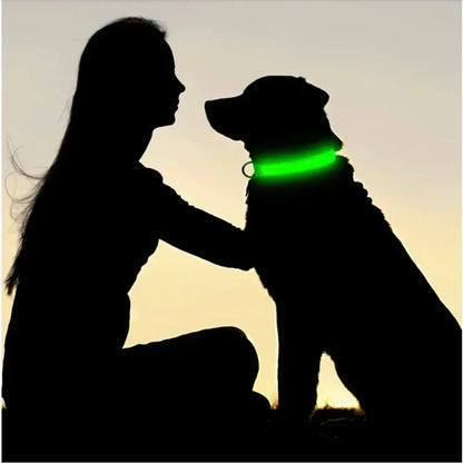 LED Safety Dog Collar with Glowing Light for Night Walks