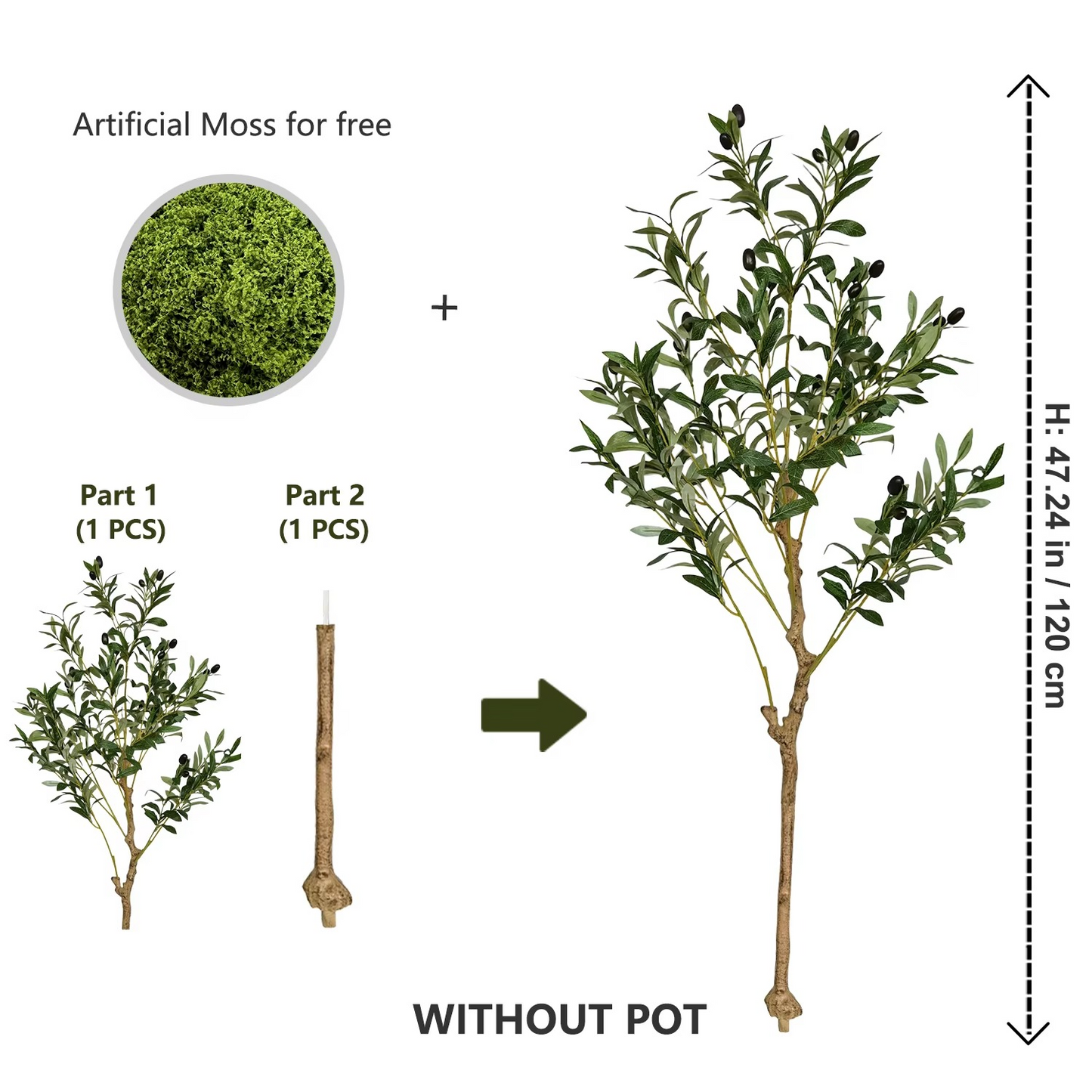 The Effortless Olive Tree