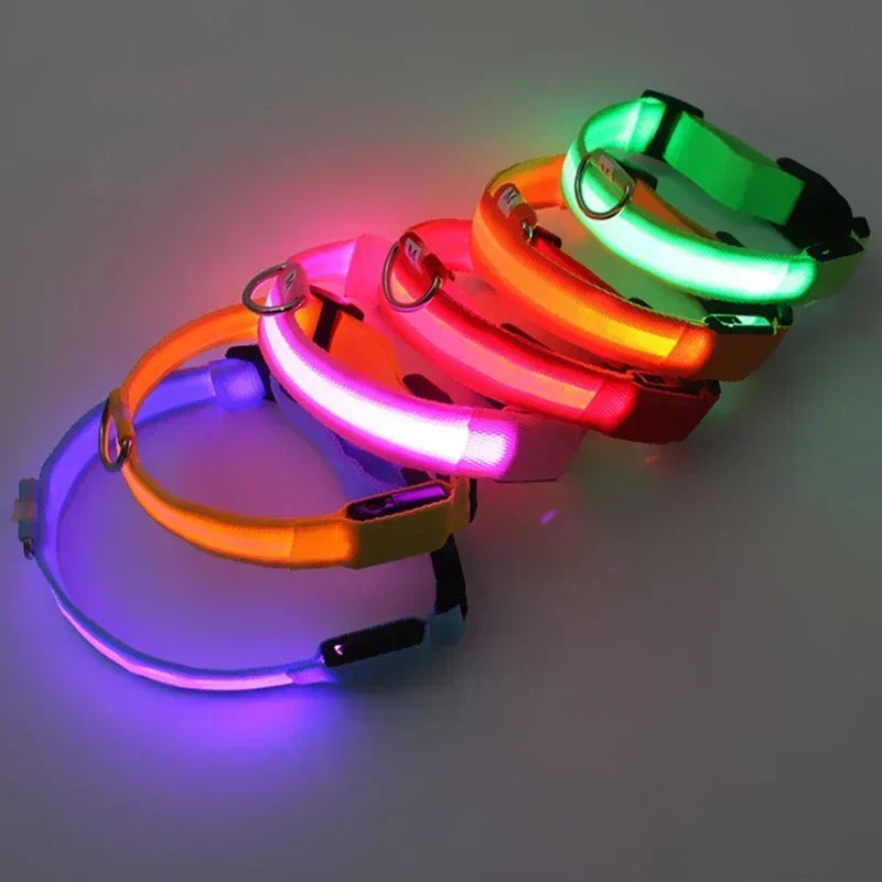 LED Safety Dog Collar with Glowing Light for Night Walks