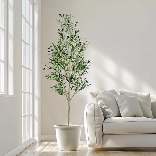 The Effortless Olive Tree