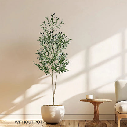 The Effortless Olive Tree