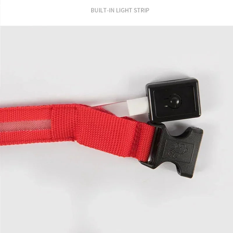 LED Safety Dog Collar with Glowing Light for Night Walks