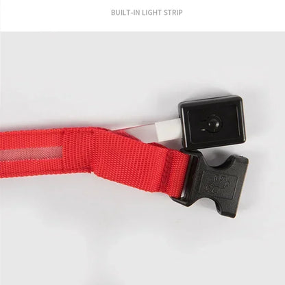 LED Safety Dog Collar with Glowing Light for Night Walks