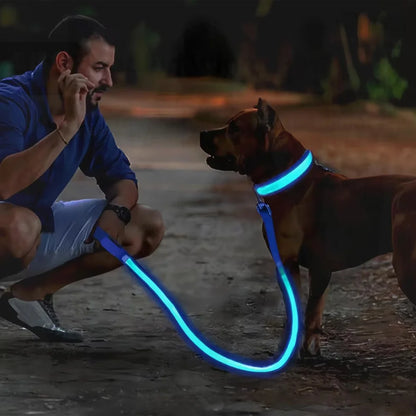 LED Safety Dog Collar with Glowing Light for Night Walks