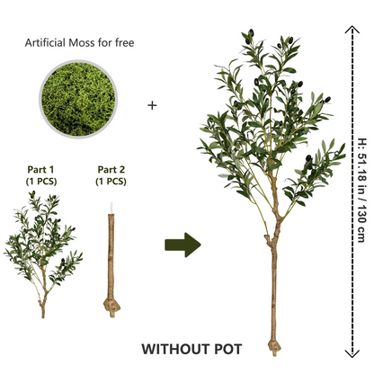 The Effortless Olive Tree