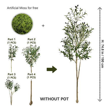 The Effortless Olive Tree