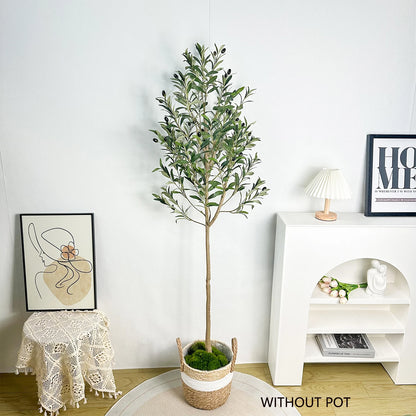 The Effortless Olive Tree