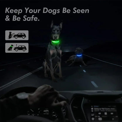 LED Safety Dog Collar with Glowing Light for Night Walks