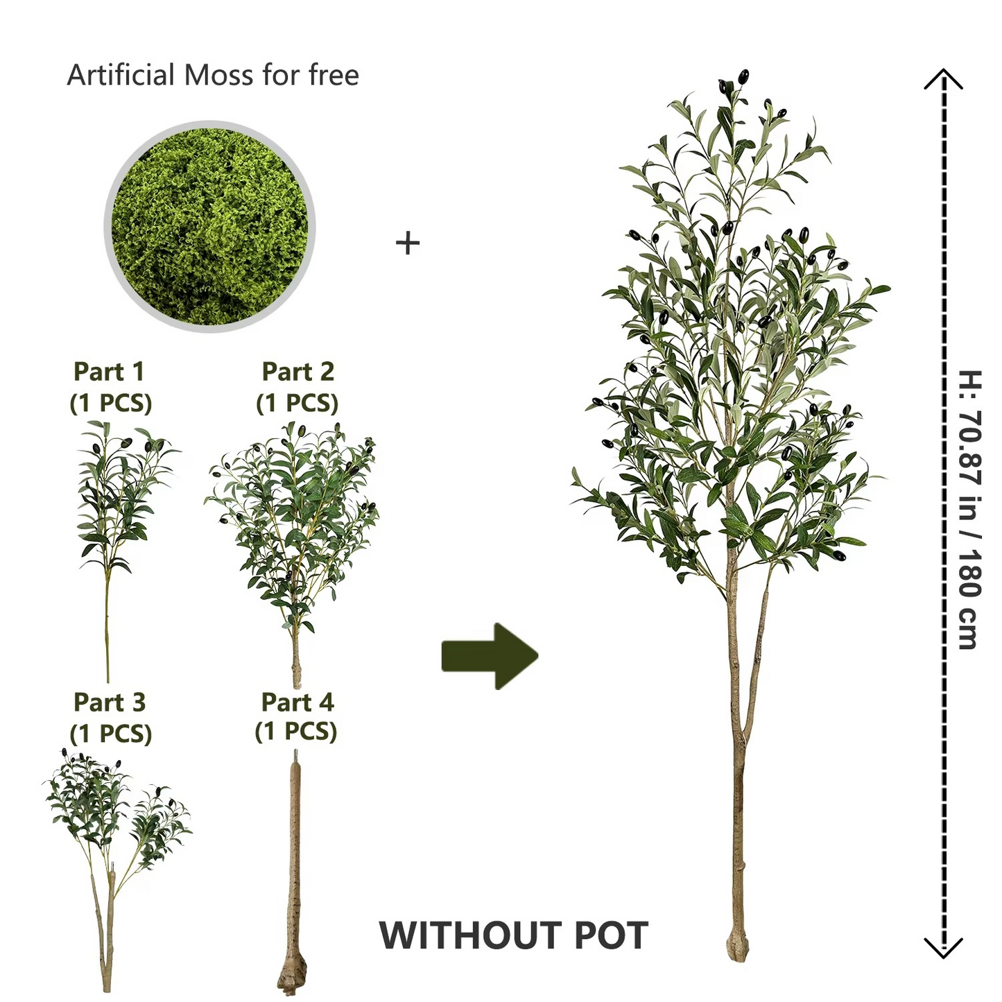The Effortless Olive Tree