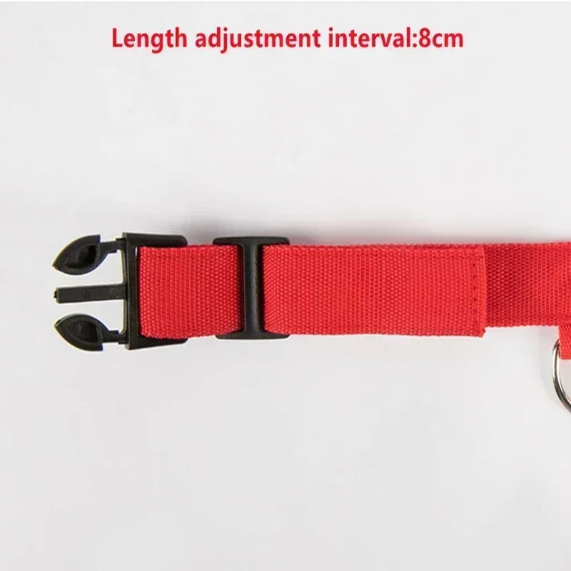 LED Safety Dog Collar with Glowing Light for Night Walks