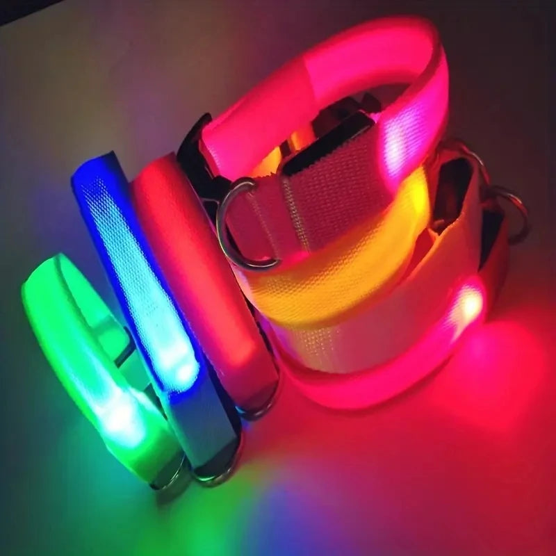 LED Safety Dog Collar with Glowing Light for Night Walks