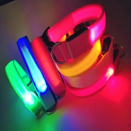 LED Safety Dog Collar with Glowing Light for Night Walks