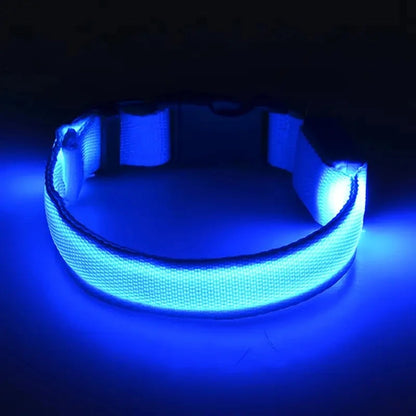 LED Safety Dog Collar with Glowing Light for Night Walks