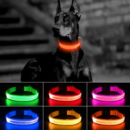 LED Safety Dog Collar with Glowing Light for Night Walks