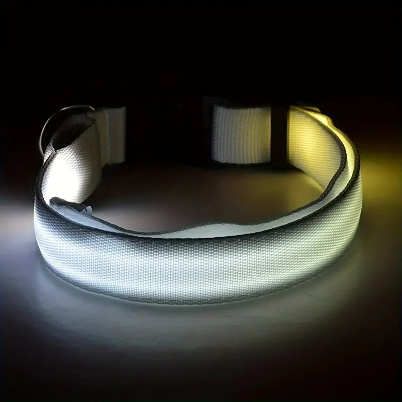 LED Safety Dog Collar with Glowing Light for Night Walks