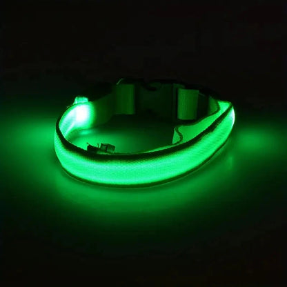 LED Safety Dog Collar with Glowing Light for Night Walks