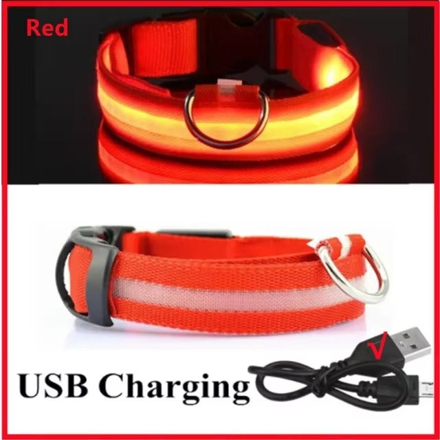 LED Safety Dog Collar with Glowing Light for Night Walks