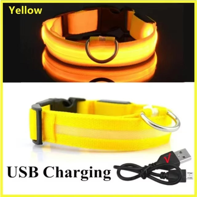 LED Safety Dog Collar with Glowing Light for Night Walks