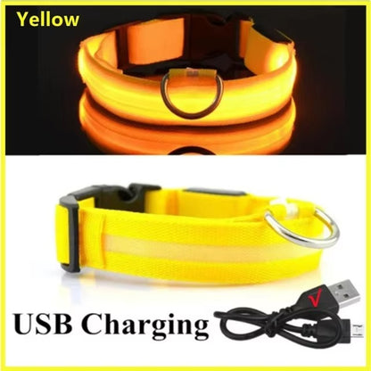 LED Safety Dog Collar with Glowing Light for Night Walks